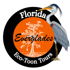 Florida Everglades Eco-Toon Tours