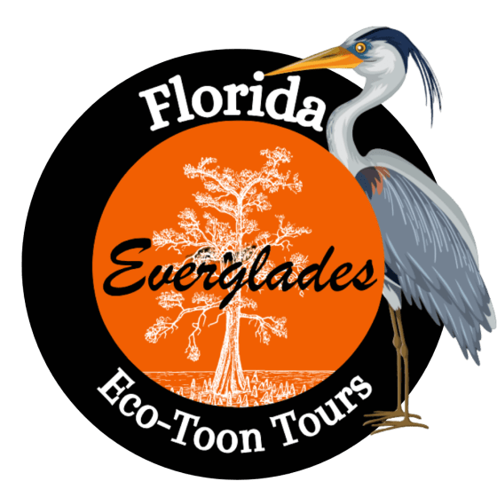 Untitled design – 2025-12-03T083646.141